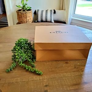 Coach Medium Storage Box